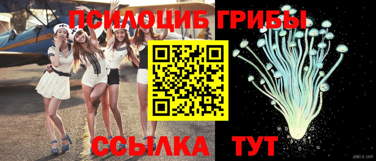 Лесной  Псилоцибиновые грибы мицелий  Вход с VPN  Псилоцибиновые грибы GOLDEN TEACHER 
