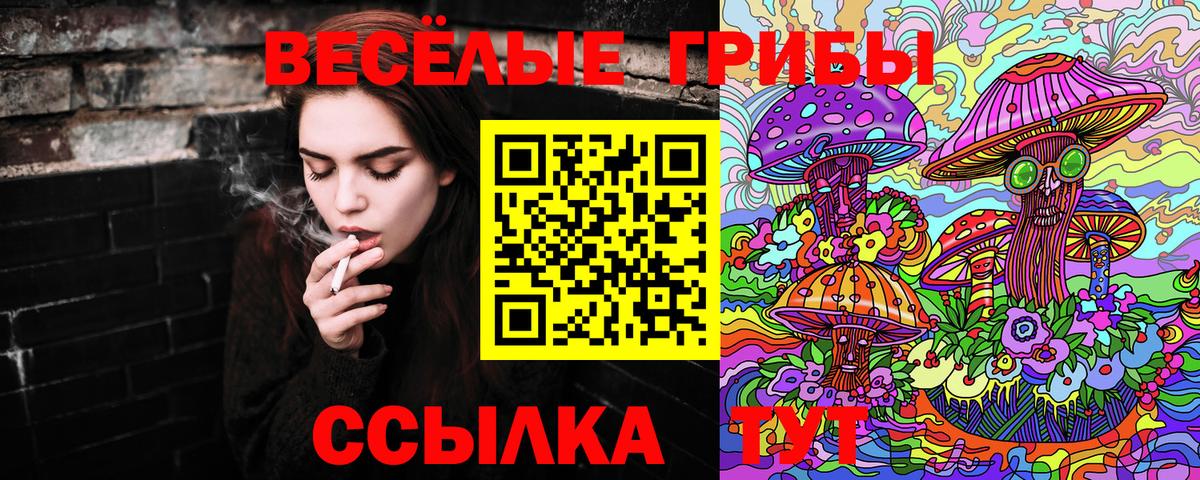 Галлюциногенные грибы Cubensis Лесной